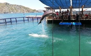 Agencia Operadora de viajes y turismo Encanto De Los Mares