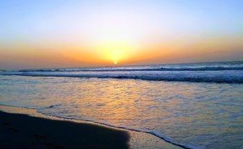 Bella Greenwood Holidays