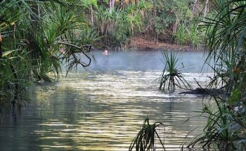 Northern Territory Indigenous Tours