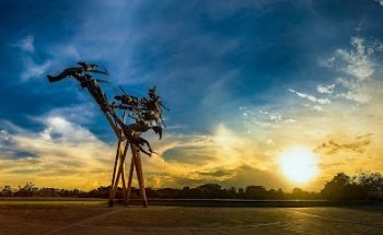 Life Trips Agencia Turística