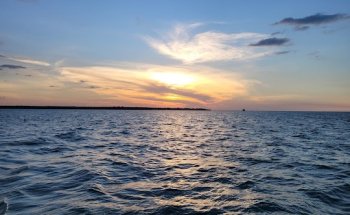 City of Darwin Cruises