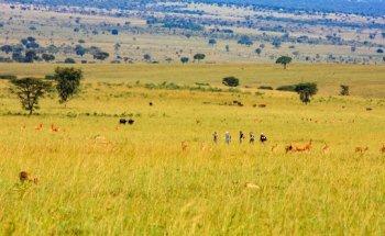 ReMikable Adventures Uganda