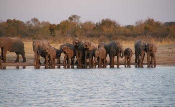 Fair Mundo Travel B.V.