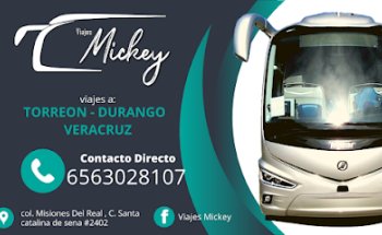 Viajes Mickey