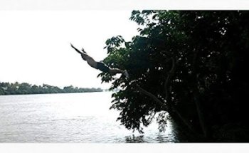 Roy Domínguez Viajando