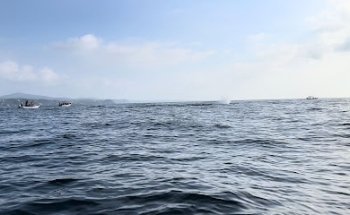 Tours Travel Mazunte