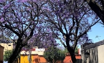 Agencia de Viajes Internacionales Tlaxcala