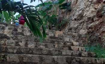 Cenotes Homun-Cuzamá servicios de tour