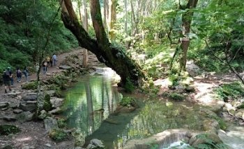 MD Turismo y Experiencias