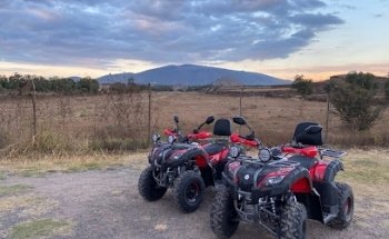 Indigo Travel Line.Mx