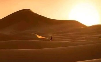 Travel and Cruises Corporation