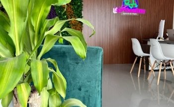 Mr Vuelox Agencia de Viajes