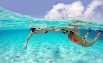 Agencia de Viajes en León Suc. los Fresnos