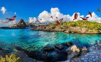 Wonga Adventure Tours