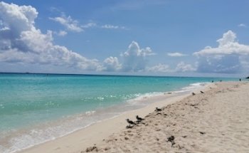 Adoha Travel Agencia de viajes