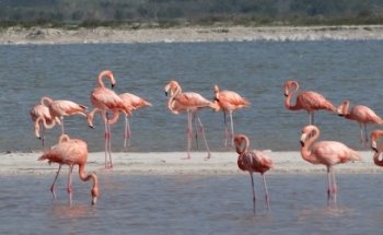 CSK agencia turística y cultural