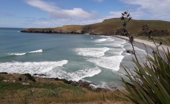 Fantail Tours, Dunedin NZ