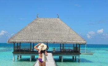 The Sussex Travel Company Ltd