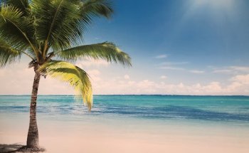 Reisebüro TRAVEL TALK