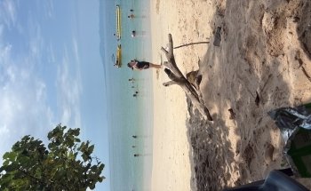 En Puerto Vallarta - Tours & Guía Turística