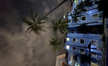 En Puerto Vallarta - Tours & Guía Turística