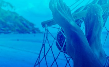 Turismo Global: Viajes | Bodas | Grupos y Convenciones