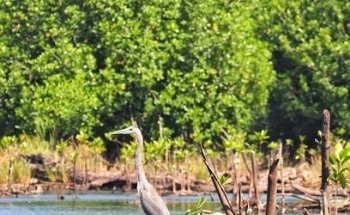 PARAÍSO PUERTO ESCONDIDO