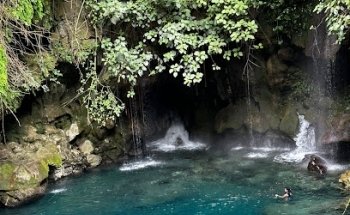 California Tours Gdl