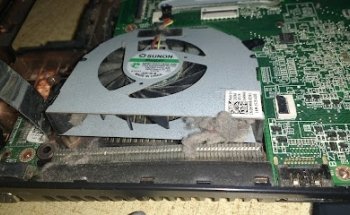 Convivencia Turistica