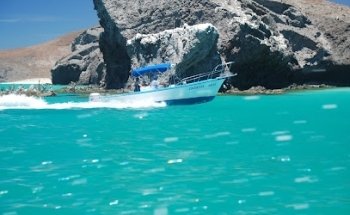 Tailhunter Sportfishing