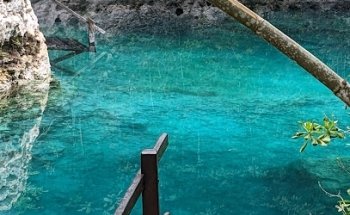 Cenote Diving And Snorkeling Experiences