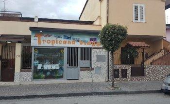 NEW TROPICANA VIAGGI