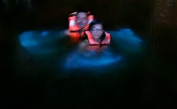 Bioluminiscencia Laguna Manialtepec