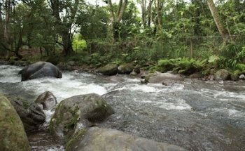 Ecoturismo Comunitario 