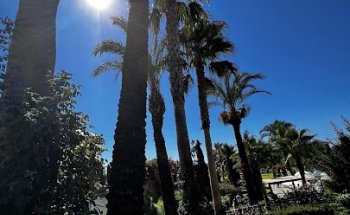 Reisebüro Höffmann GmbH