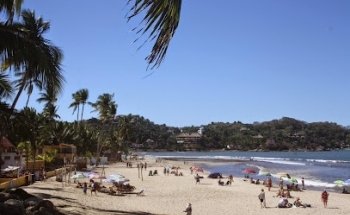 Sayulita Discovery