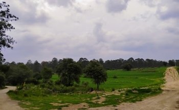 Santuario de las Luciernagas