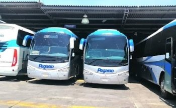 Grupo Herradura Occidente