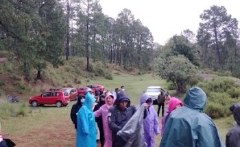 Santuario de las Luciérnagas Oficial | Tours Luciérnagas