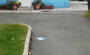 AMIGOTOUR + WORLDTOUR