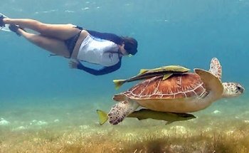 Cancun Adventure Tours