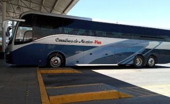 Ómnibus de México - ODM Nogales
