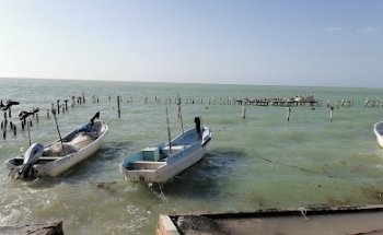 Agencia De Autobuses Medher