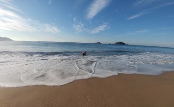 operadores y servicios turísticos de michoacan