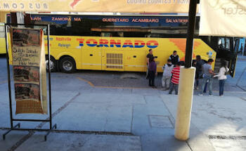 Frutilandia Autobuses