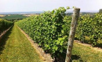 Grape Escapes Nova Scotia Wine Tours
