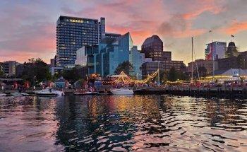 City Harbour Cruises