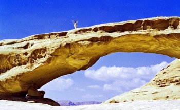 Reisekreisel Jan Kreisel