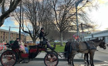 Heritage Horse Drawn Carriages