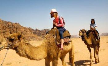 Stubborn Mule Travel